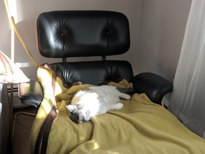 The nicest lounge chair in the place, of course. Verdict: 8/10